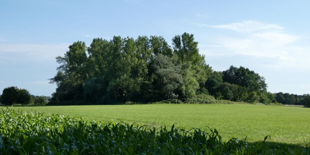 Der &quot;Lange Berg&quot; in Langen - Geestland